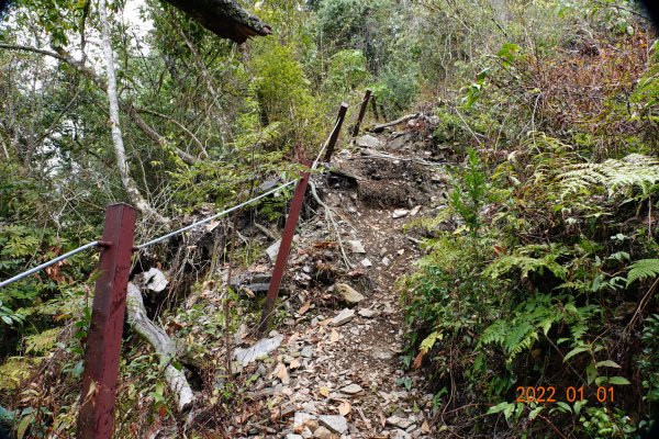 南投 仁愛 尾上山1569566