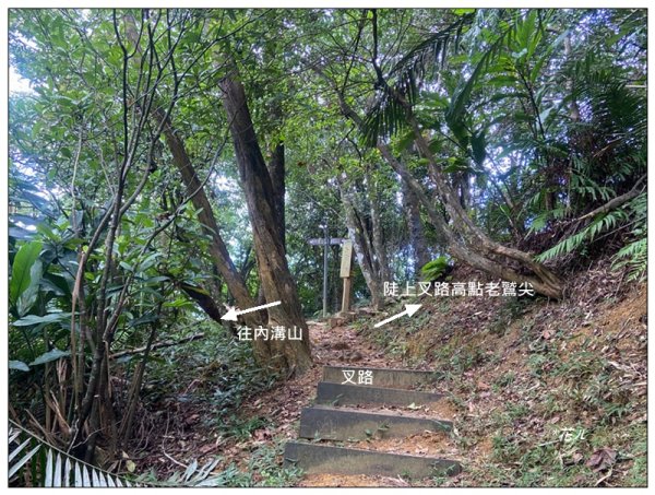 金龍湖、鷹石尖、老鷲尖、內溝山 O型一圈2966625