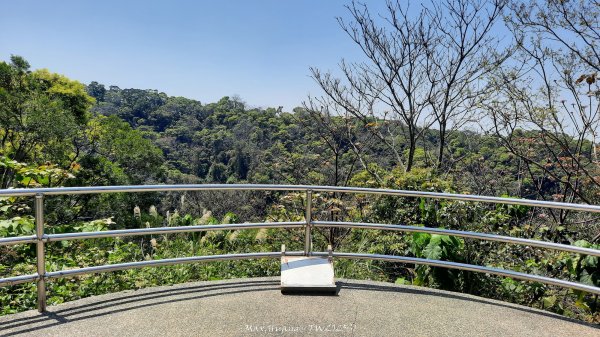 《彰化》登山逛市集｜臥龍坡步道環藤山步道202503222740502