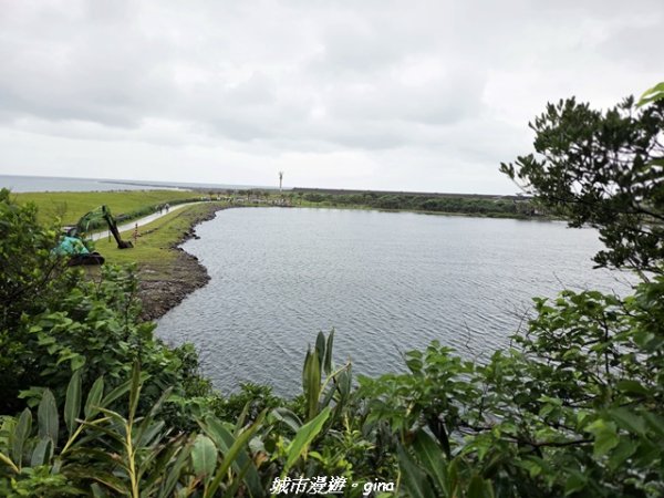 【宜蘭頭城】龜山島步道3043992