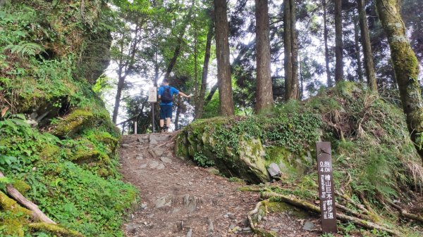檜山巨木森林步道1779509