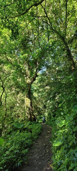 2025/06/28_馬胎+南坪古道2823745