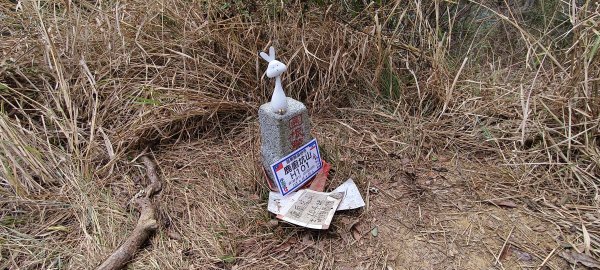 2025/01/04_鹿廚坑健行步道2683475