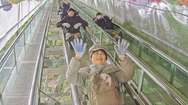 2025/11/11日張家界大峽谷2941012