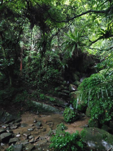 微笑山線：【二格山系】銀河洞越嶺段2841278