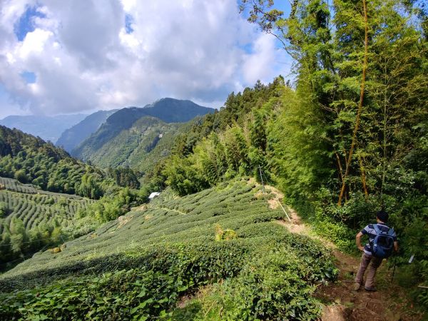   20170916留龍頭山+忘憂森林376791