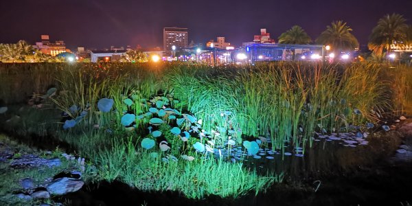 電動獨輪車騎乘花東縱谷193縣道1087474