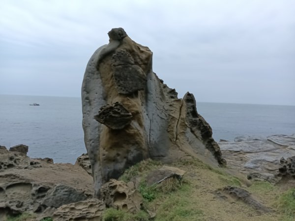瑞芳區神秘海岸+鼻頭角燈塔+鼻頭角稜谷步道O型2760158