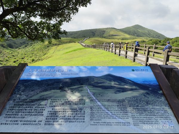擎天崗→石梯嶺→頂山→風櫃嘴→天溪園→聖人橋【任務二 2025臺北大縱走 3+4】2836572