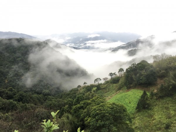 三峽晚霞紅光～～東眼山雲海793736