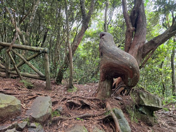橫嶺山／沙蓮山／笛吹山O繞2787681