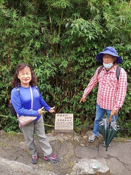 輕鬆漫步坪頂古圳步道→清風亭→大崎頭步道→聖人瀑布→士林官邸公園1499281