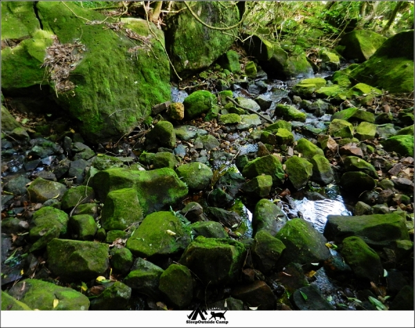 新北金山魚路古道(金包里大路)‬259799