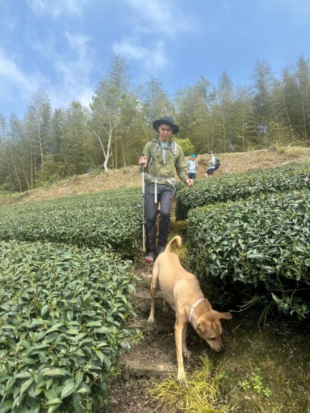 月眉山、海鼠山、生毛樹山、野薑花步道、進學古道3020758