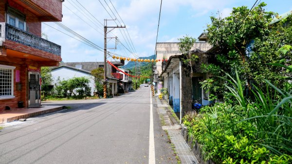 雙溪三柑Ｏ走2839869