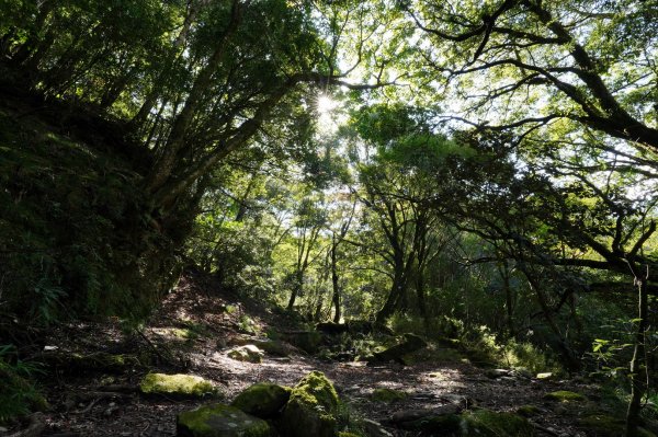 花蓮 秀林 屏風山2359406