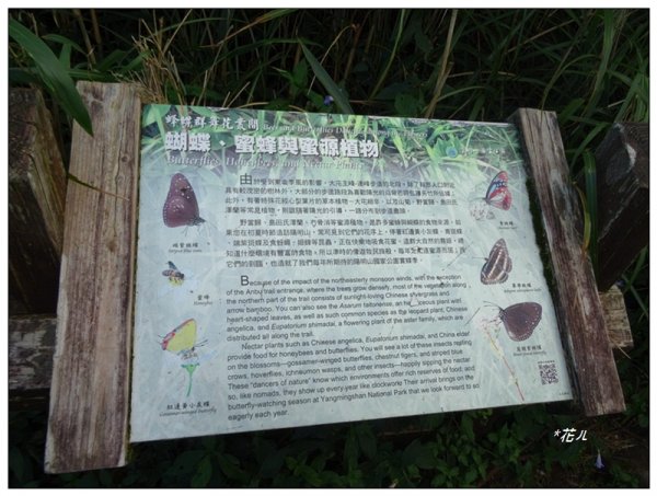 大屯主峰步道(小百岳)2384979