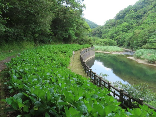 淡蘭古道中路～崩山坑古道→灣潭古道→坪溪古道→象寮古道→石空古道→外澳車站