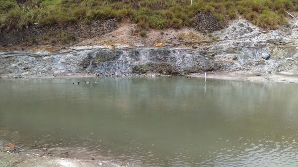 溪水潺涓的半嶺水圳步道、硫氣氤氳的龍鳳谷890895