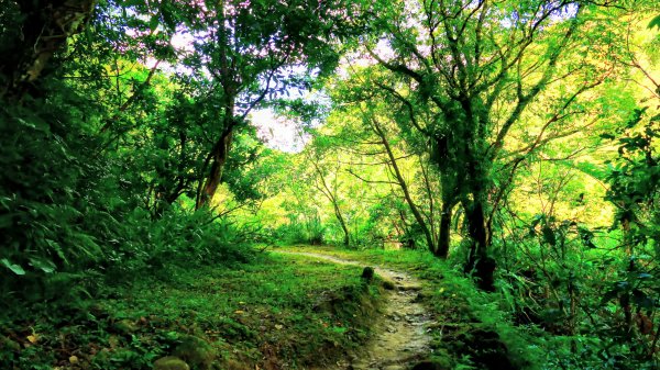 筆架山越嶺2918222