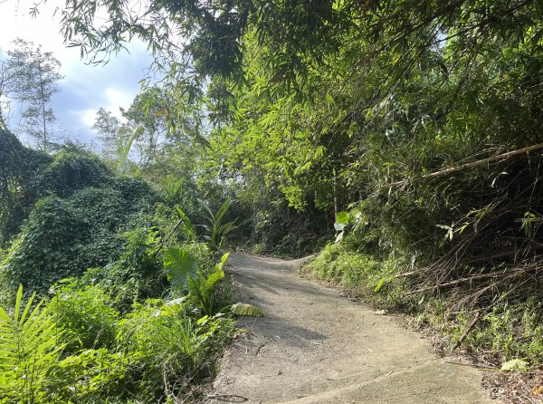 [皮皮獅Hike客任務-10/10] 2024_0831 十二寮古道2586598