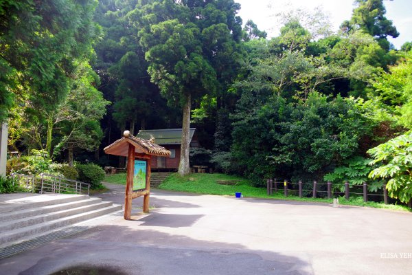 東眼山到滿月圓，東滿步道外一章1096532