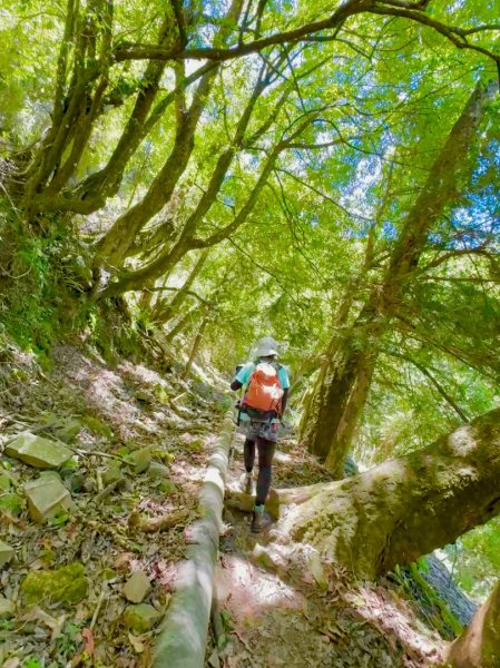 石山引水道3078040