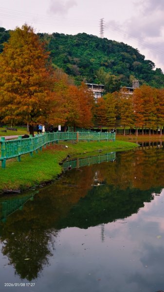 #花卉試驗中心 #永公路500巷 #平菁街42巷 #原住民公園 #士林官邸 1/42979271