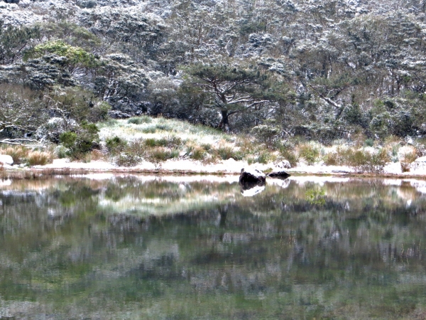 白雪覆蓋的向天山/向天池/面天山/二子坪30255