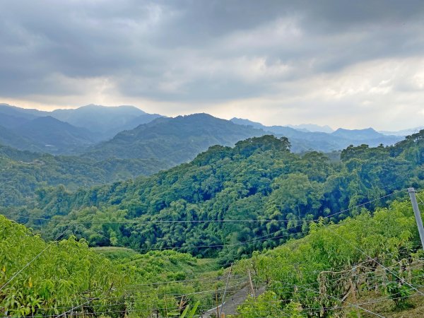 大雪山悠遊順撿基石1085397