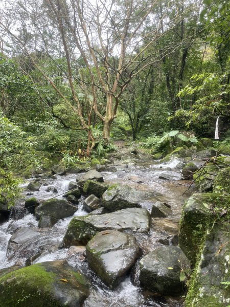 淡蘭古道中路第三段灣潭到威惠廟2974862