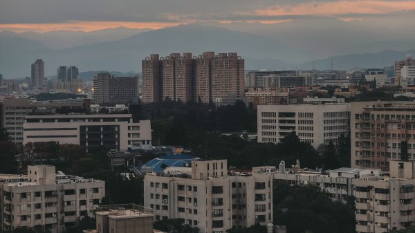 【台灣健行】遙望大霸，竹露清風，滿城盡帶黃金甲2680902