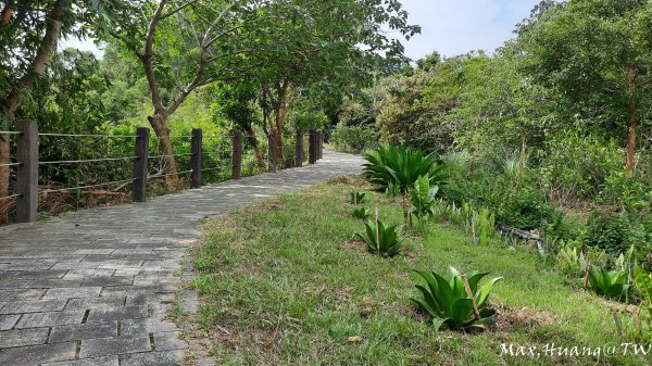 《苗栗》遺落莊園｜墨硯山步道O繞202310222322872