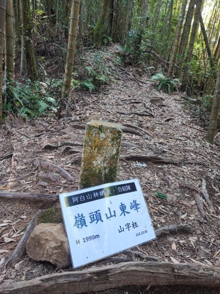 金柑樹山/忘憂森林-小百岳#54-南投縣竹山鎮/信義鄉2414493