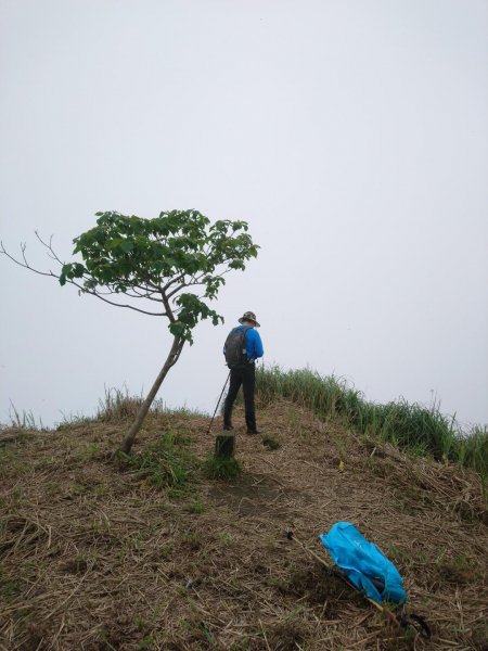 黃金一稜（基隆山小百岳，雷霆峰）566916