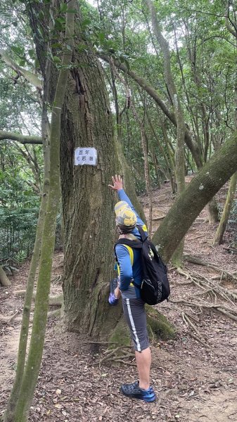 微笑山⛰️線-大棟-二格山-五分山-天上山-鳶山💎12條步道完成💙2841451