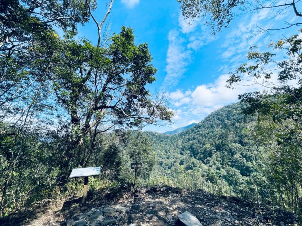 20250227 鳩之澤自然步道2736072