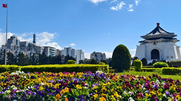 #自由廣場 #大安森林公園 #繡球花 #杜鵑 3/163016277