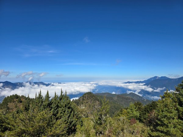 東埔山／鹿林山／鹿林神木2666716