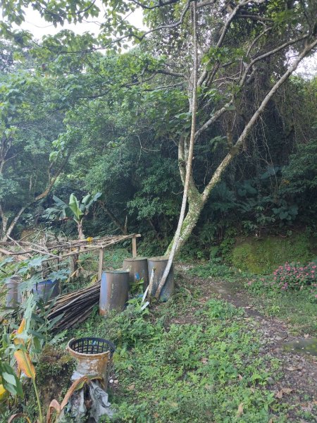 微笑山線：【天上山系】烘爐地土地公段：外南勢角山2963542