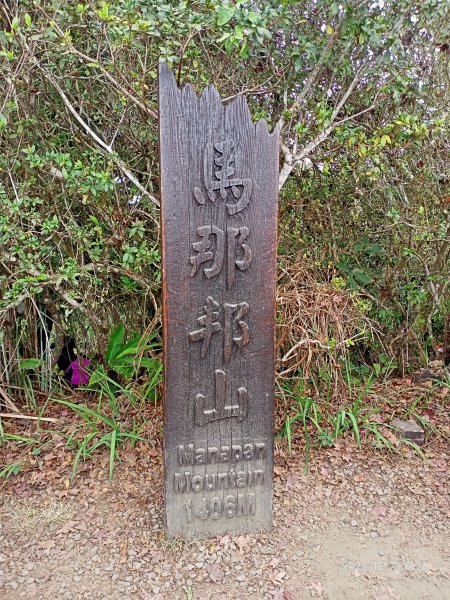 四訪苗栗的花果山-小百岳#037馬那邦山、雪霸國家公園管理處【小百岳集起來、苗栗-臺灣百大必訪步道】2394340