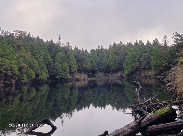 三星山+三星池+望洋山+太平山山毛櫸2432914