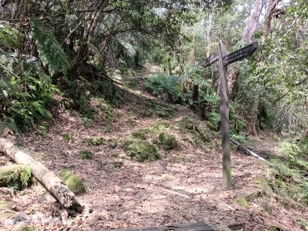 五指山古道+友蚋山南峰2757037