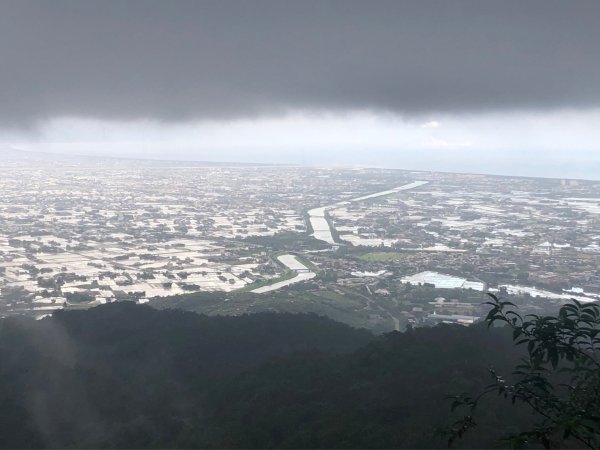 大白山賞芒花及山毛櫸1944807