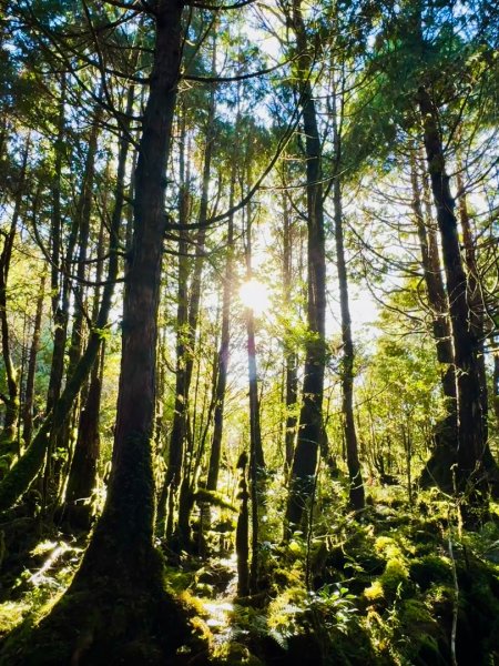 走入魔幻森林 探訪三星池與妹池2950155