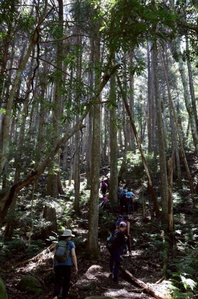 1140823油羅山2868150