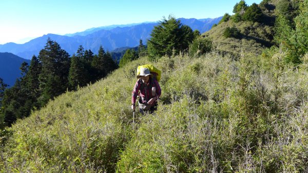 大好天氣的奇萊東稜488988