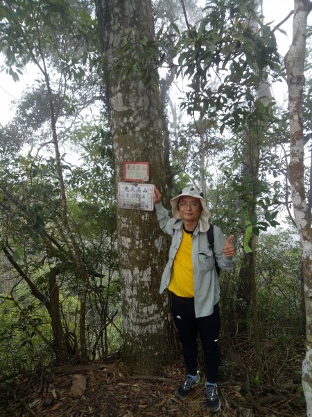 三角湖山向天湖山光天高山O形1911621