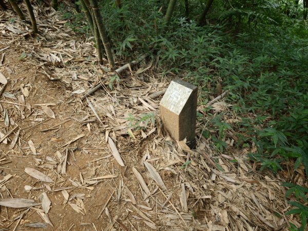 [淡蘭古道] 2026_0523 南路第一段_土地公嶺古道3069450