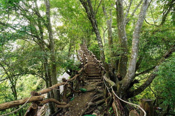 臺中 新社 頭嵙山、黑山、石苓湖山3047647